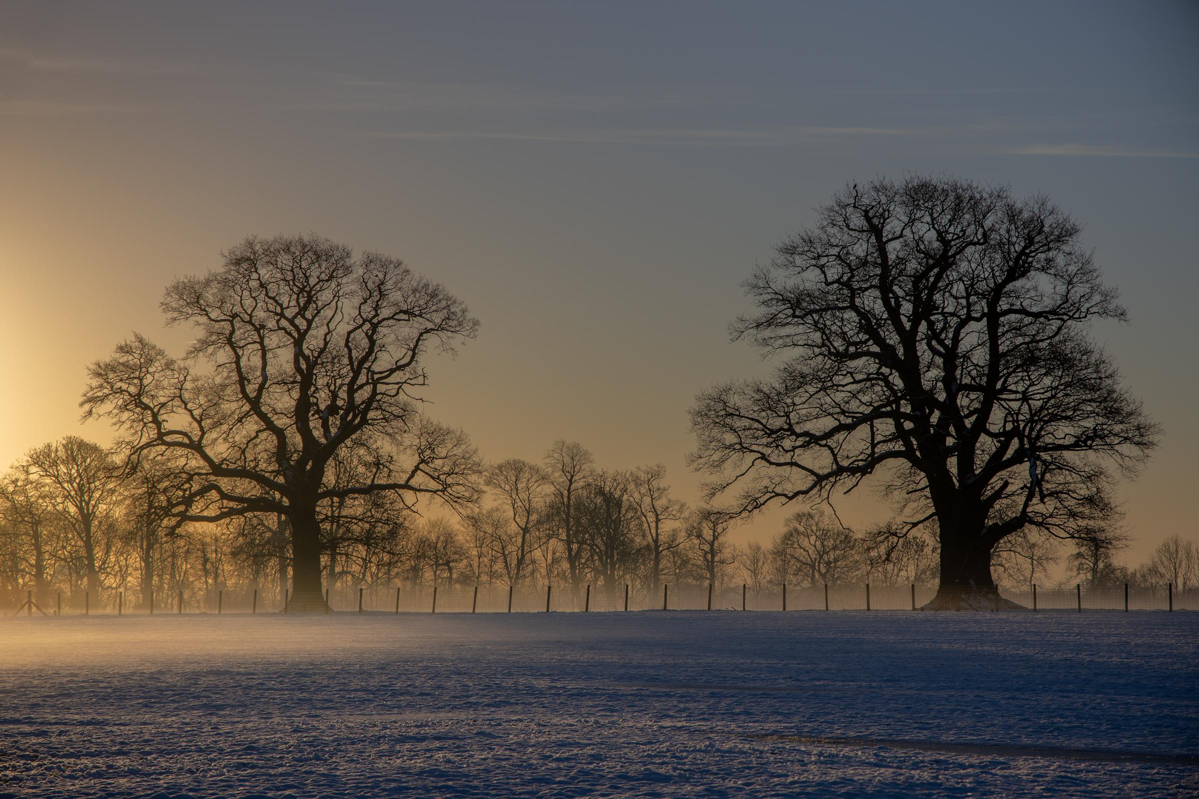 A cold morning a few minutes after the sun had risen and started to warm the ground ever so slightly creating a freezing mist.