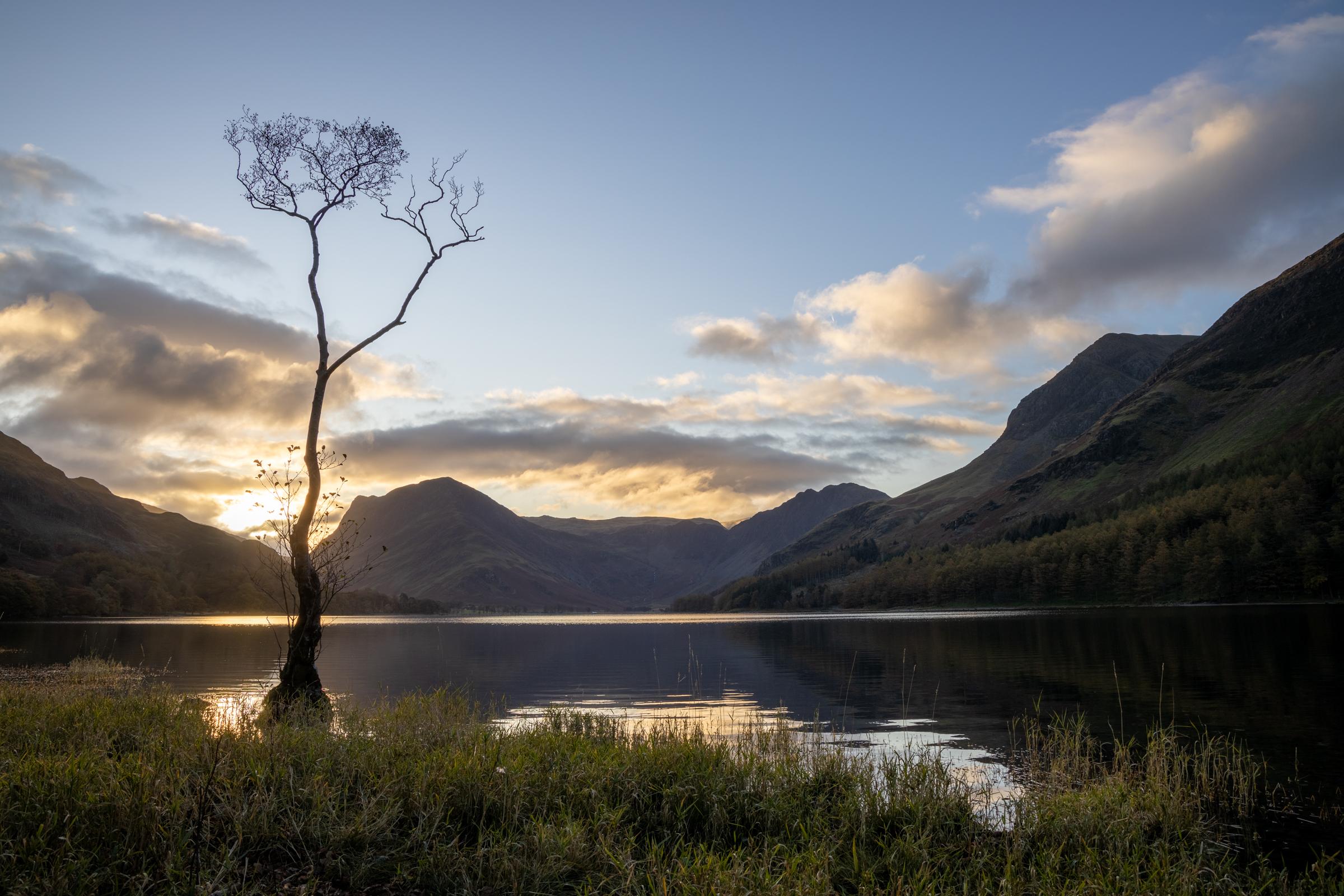 The iconic lone tree at Buttermere with the sun rising in the gap of Honister pass with Fleetwith Pike and Haystacks in the distance.