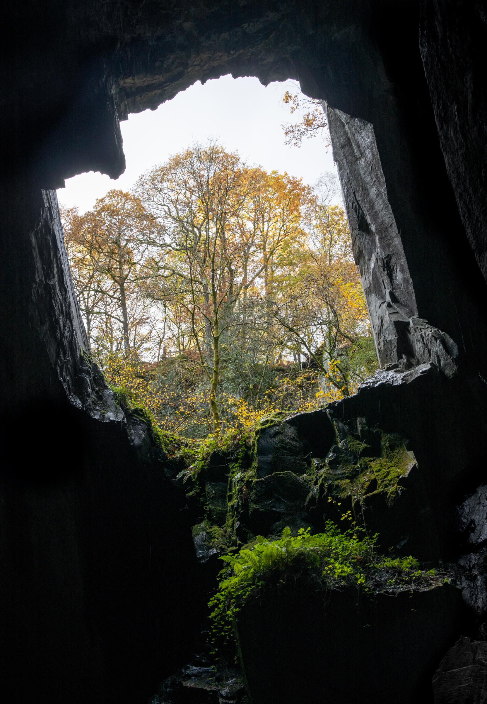Autumnal colours through with the window in Cathedral Cave