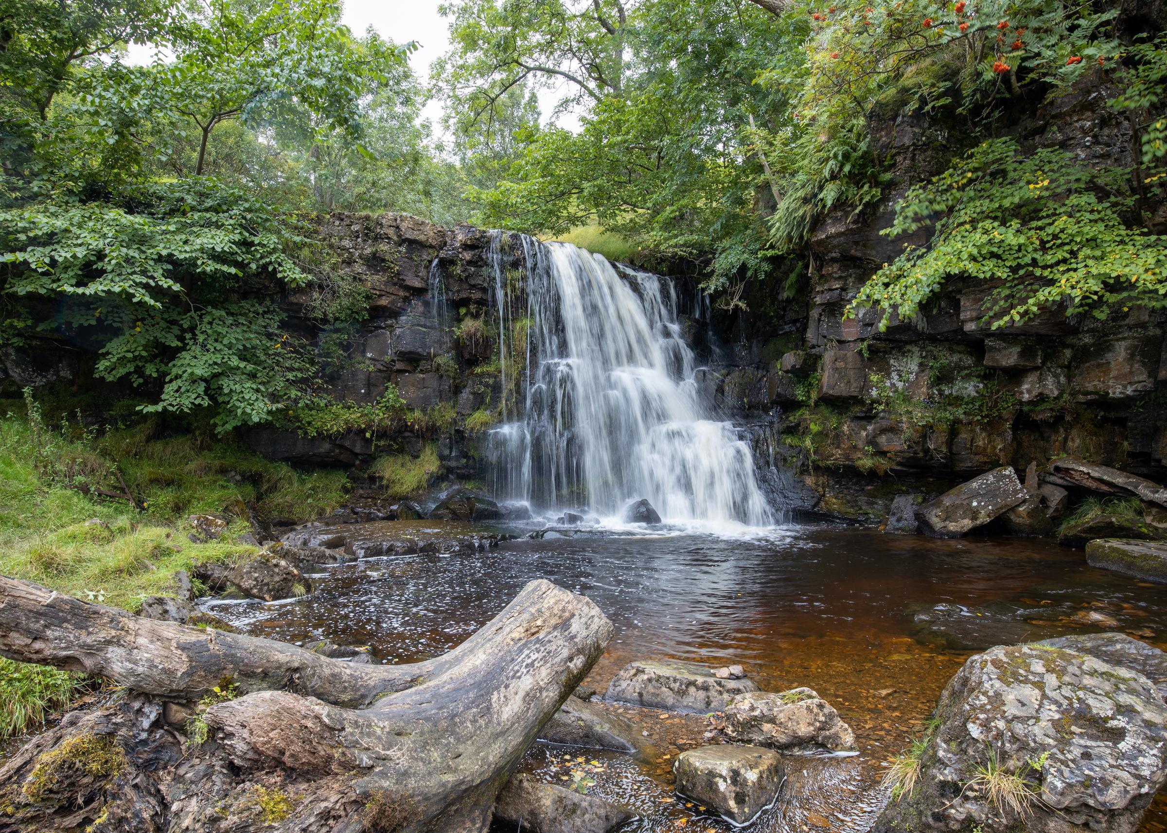 The area around Keld has a number of waterfalls, and East Gill Force is very iconic.