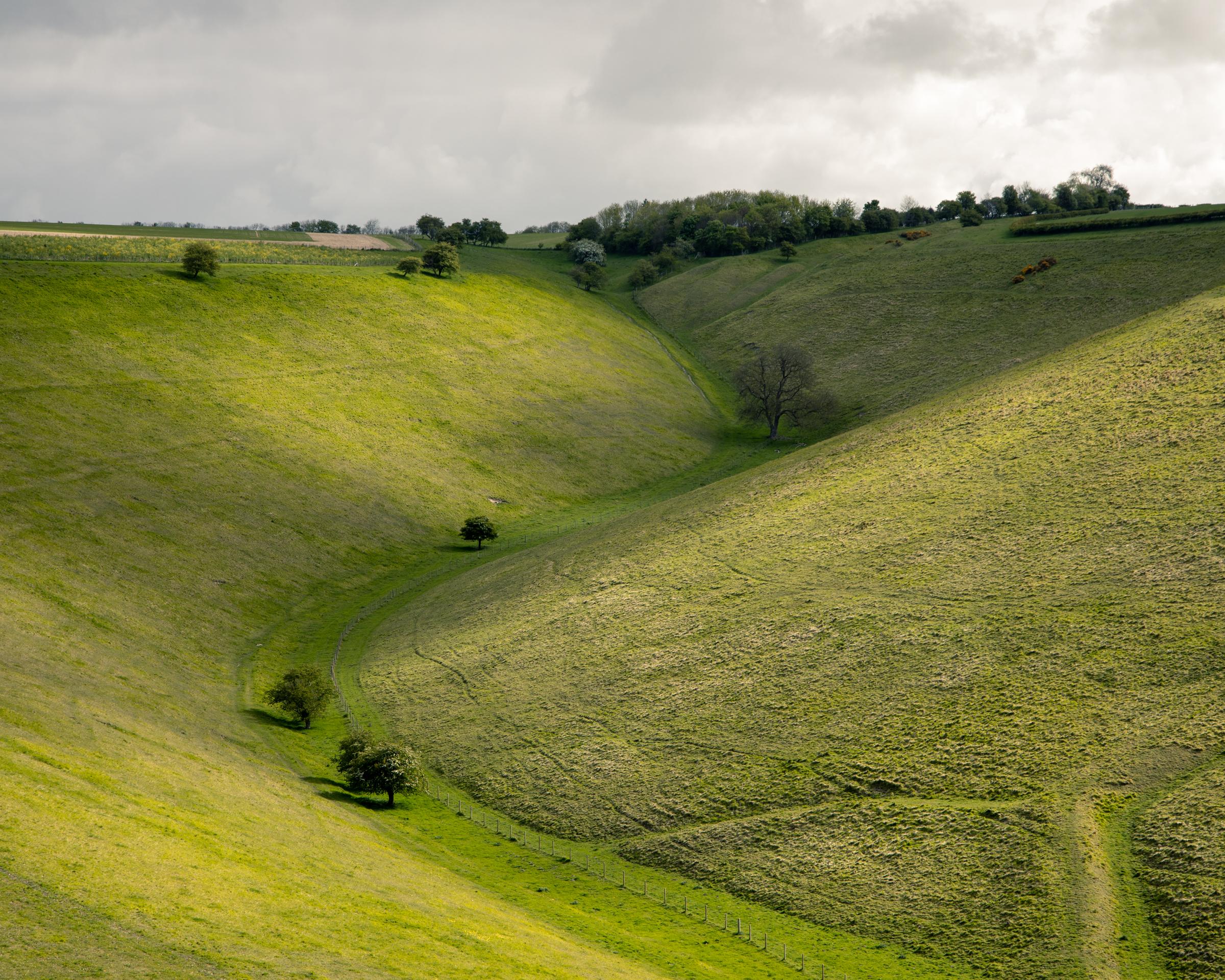 The Yorkshire Wolds are not a National Park nor even an Area of Outstanding National Beauty, but the V-cut valleys and S bends are beautiful all times of the year, and Frendal Dale is no exception