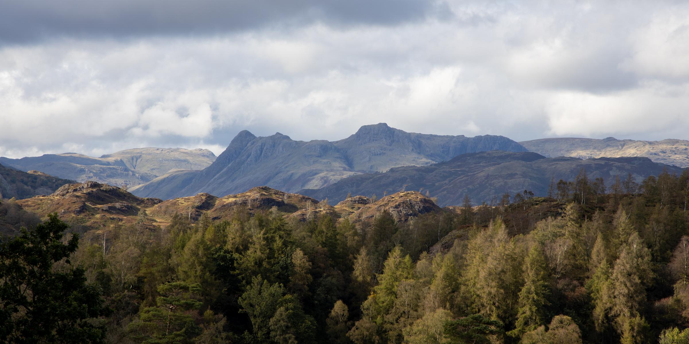 Looking over Holme Fell and Lingmoor Fell towards Langdale Pikes from Howgraves
