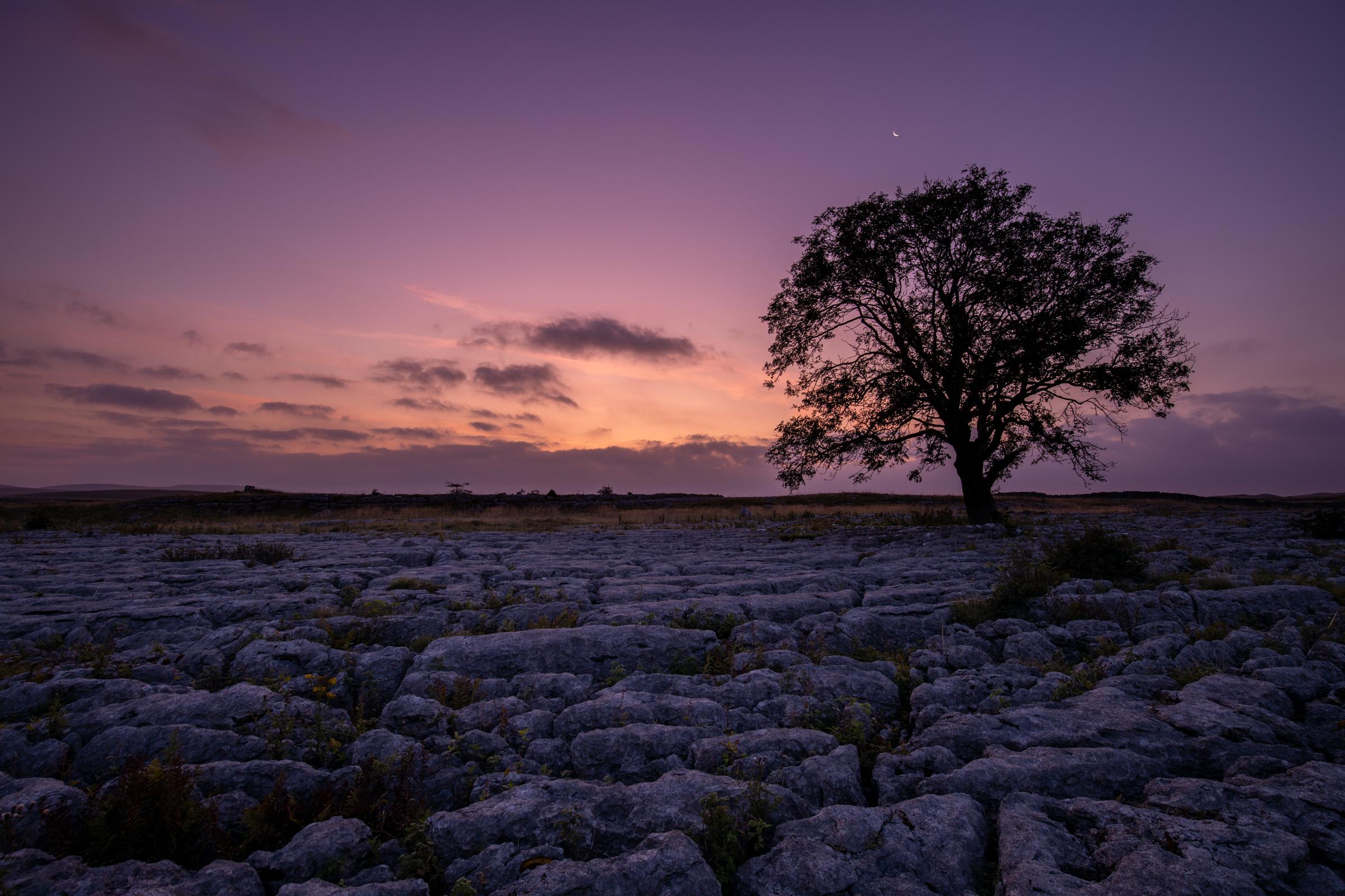 Malham Lone Tree just before sunrise.  Despite the cloud on the horizon blocking the majority of the direct sunlight, I loved the colour of the sky and subtle blues and magenta light that accentuates the limestone pavement around it.