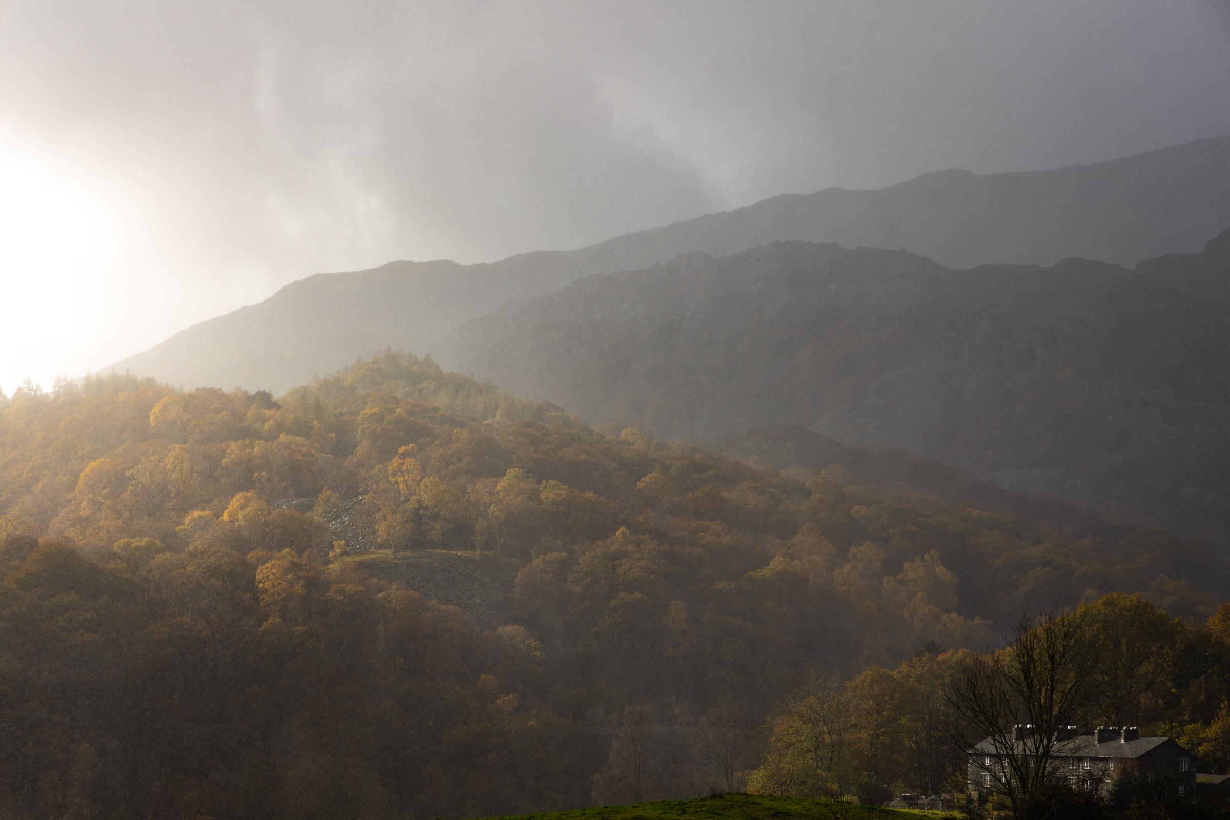As the rain poured down heavily a shaft of light broke through briefly and lit up the trees and the little row of houses.