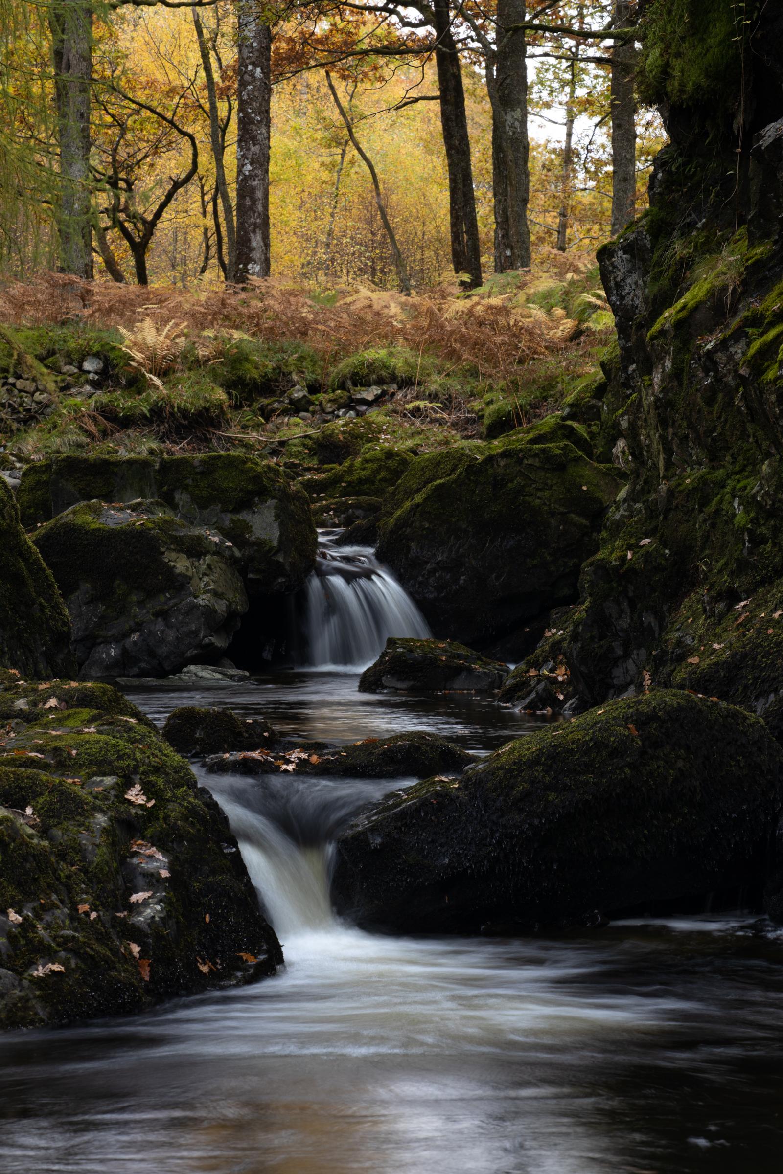 A gentle cascade with the glow of autumnal foliage in the background.⁠