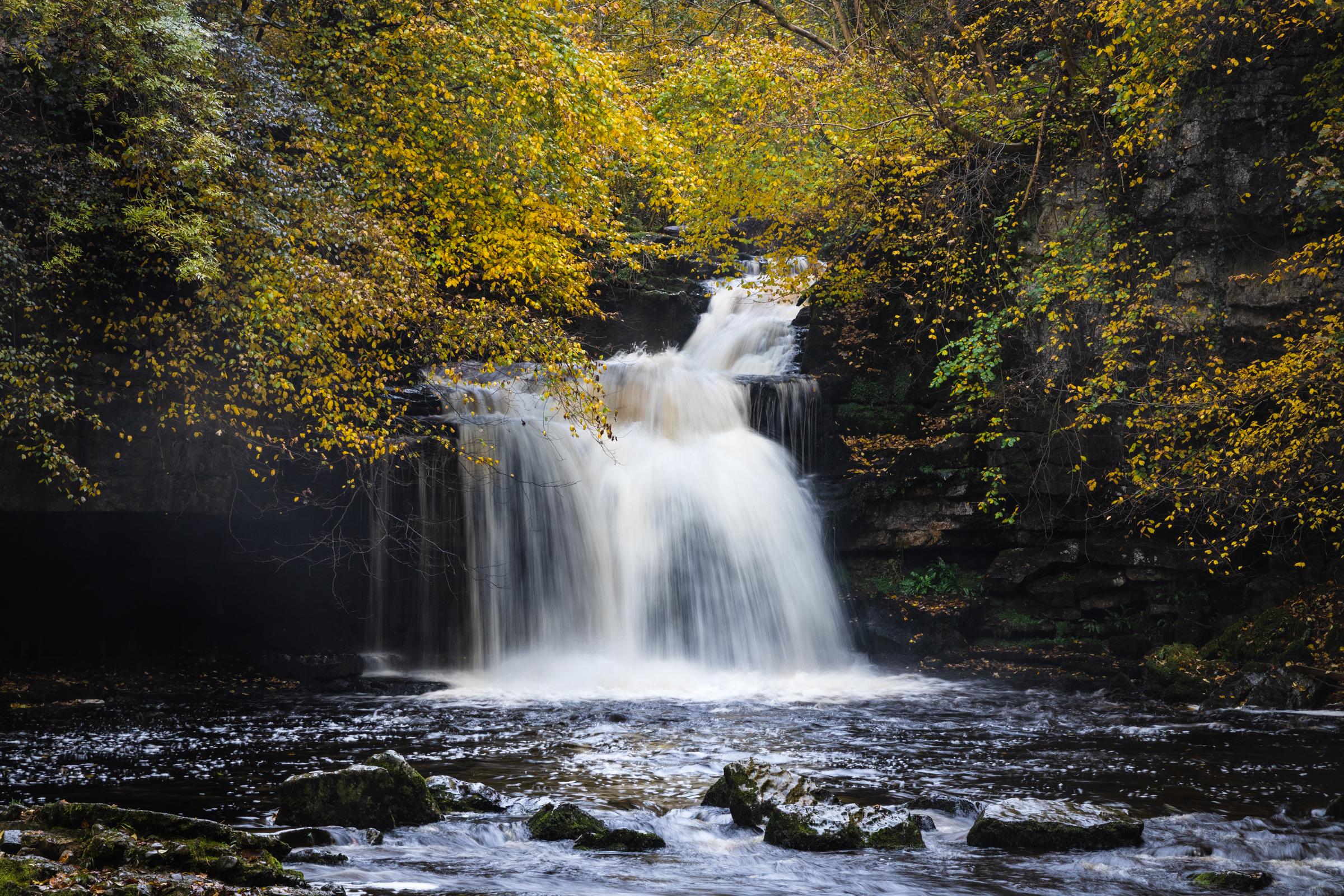 One of the most iconic waterfalls in the Yorkshire Dales with glorious autumnal colours